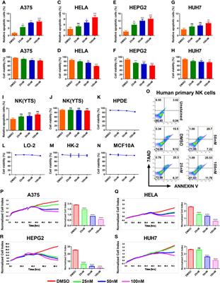 Synergistic Tumor Cytolysis by NK Cells in Combination With a Pan-HDAC Inhibitor, Panobinostat
